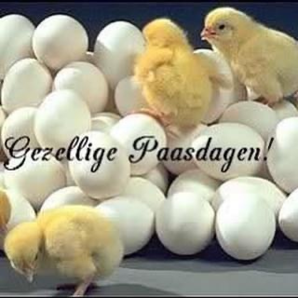 Gezellige Paasdagen Mireille EttenLeur